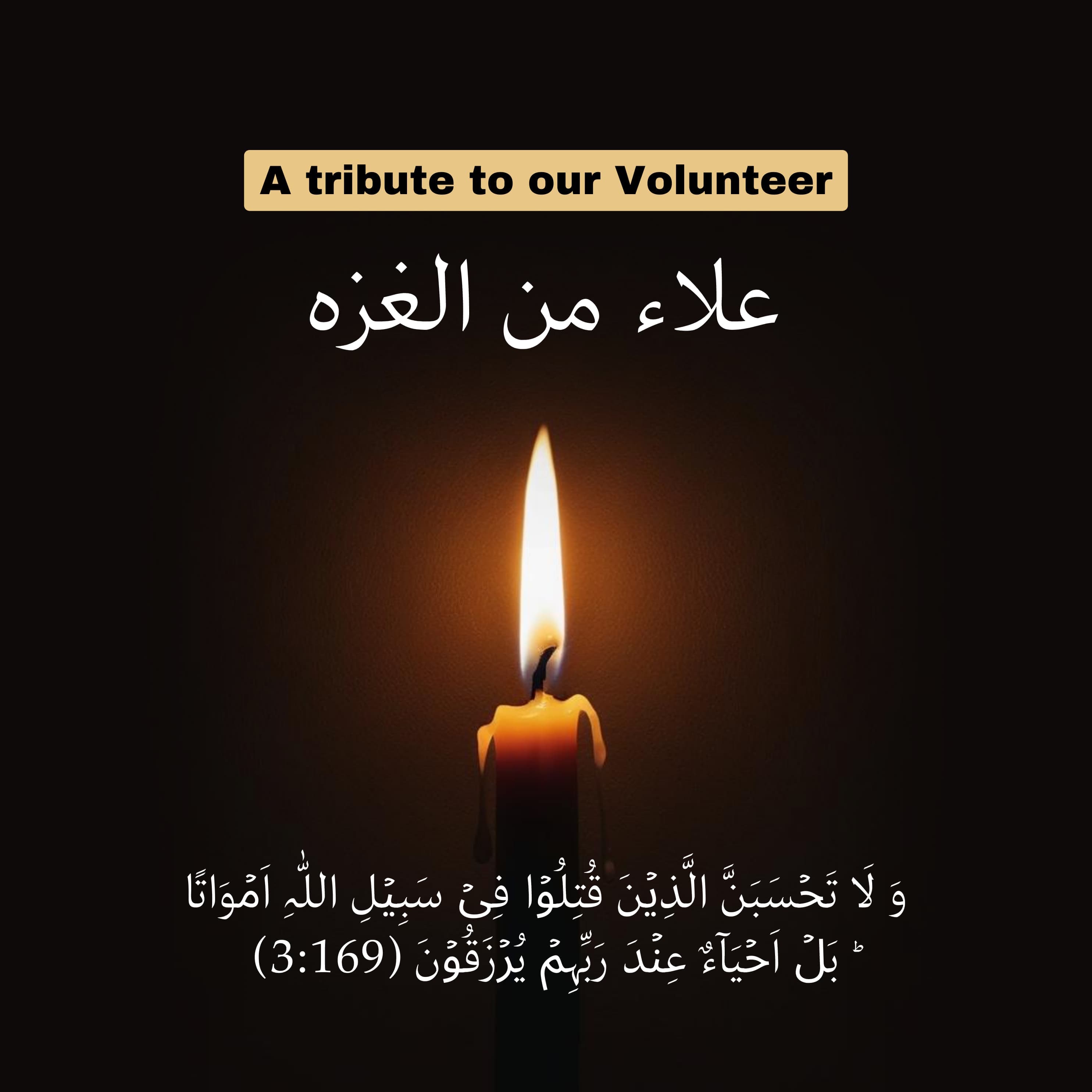 Alaa - The Widow Who Followed Her Martyr in Faith and Fire